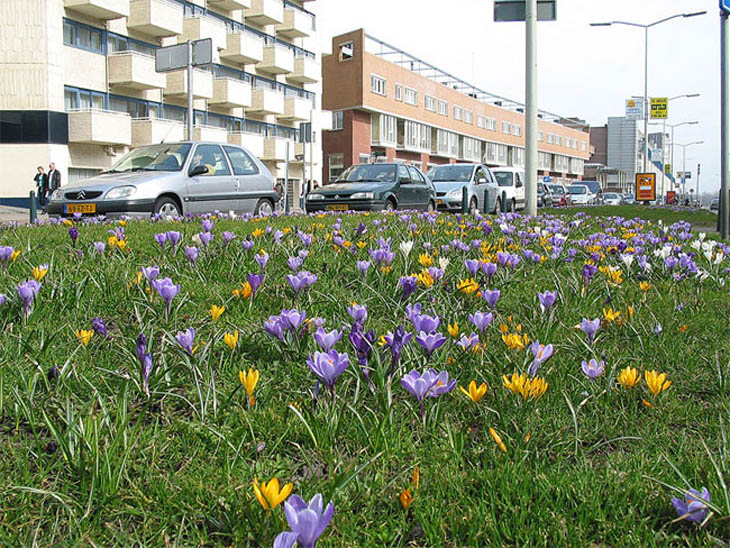 Welkom in Scheveningen Belgisch Park