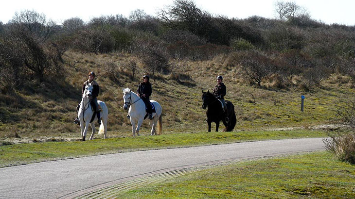 Welkom in Scheveningen Belgisch Park