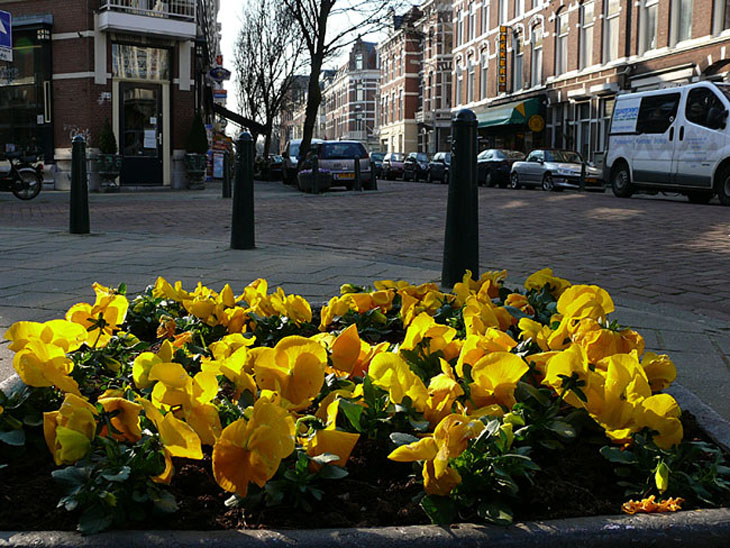 Welkom in Scheveningen Duinoord