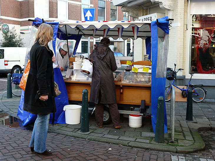 Welkom in Scheveningen Duinoord